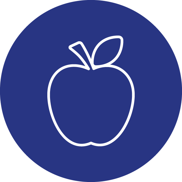 Gesundheit - Icon